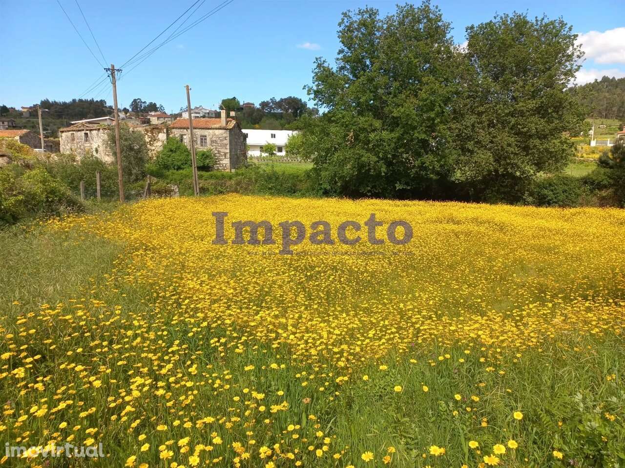 Terreno, Aveiro, Arouca - Grande imagem: 2/4