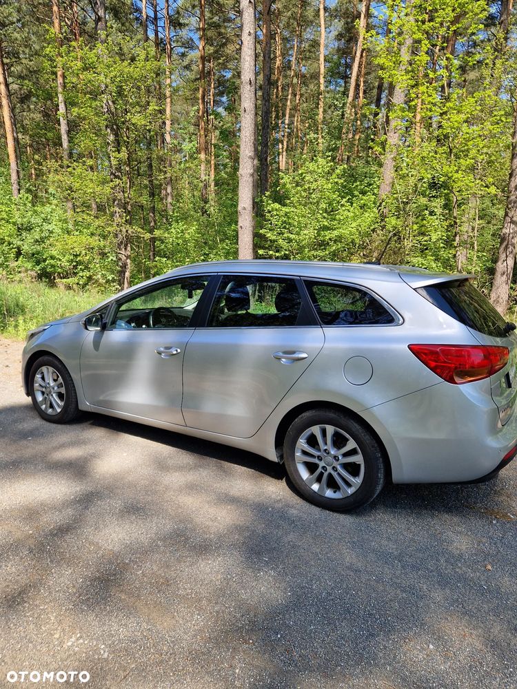 Kia Ceed - 1