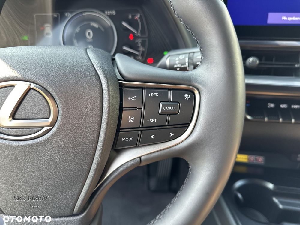 Lexus UX 250h GPF F Sport Design 2WD - 17