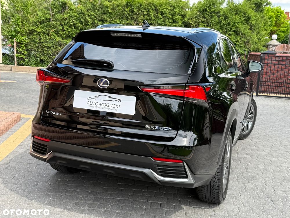Lexus NX 300h Business Edition AWD - 17