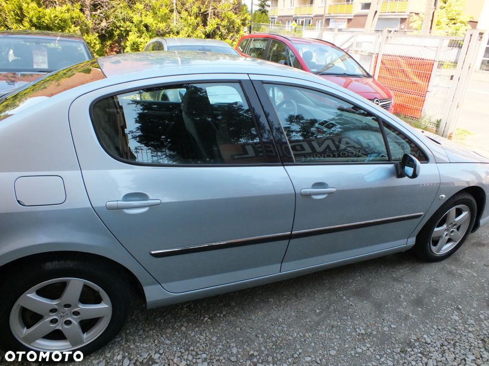 Peugeot 407 - 16