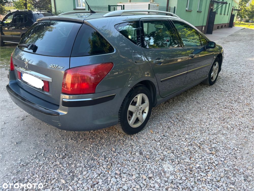 Peugeot 407 - 20