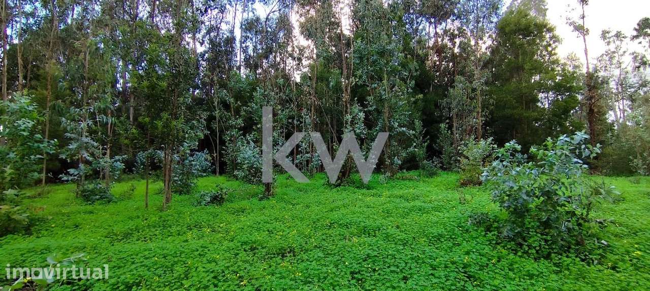 Terreno 1360 m2 – Potencial Estratégico na Zona Norte de Coimbra - Grande imagem: 4/12