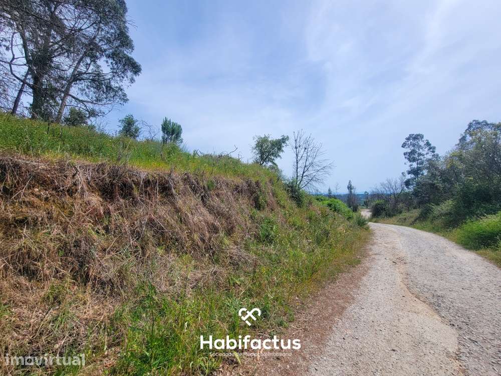 Terreno à venda com Vista Deslumbrante – Cabanas do Viriato, Carregal - Grande imagem: 4/4