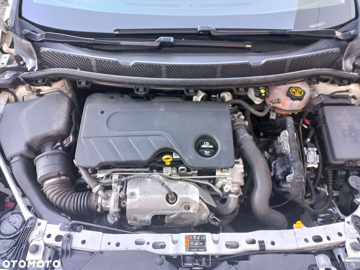 Opel Astra V 1.6 CDTI Enjoy S&S - 16
