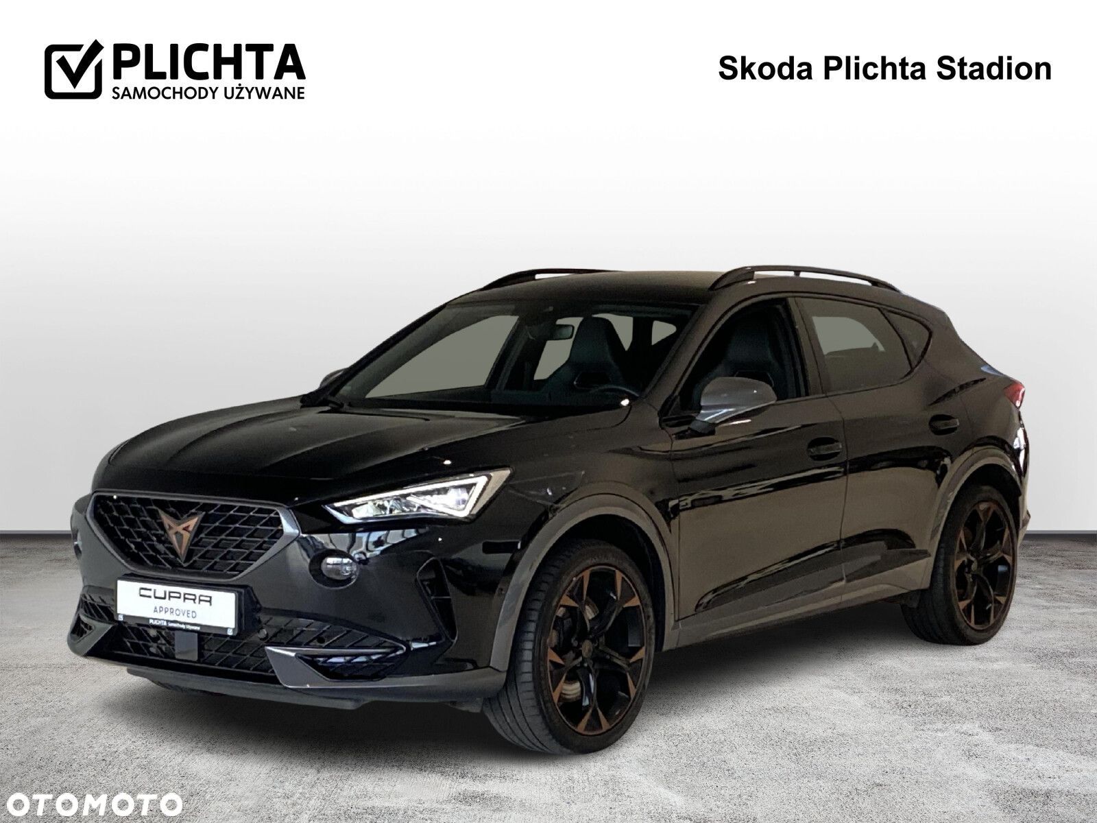 Cupra Formentor 2.0 TSI 4Drive VZ DSG - 1