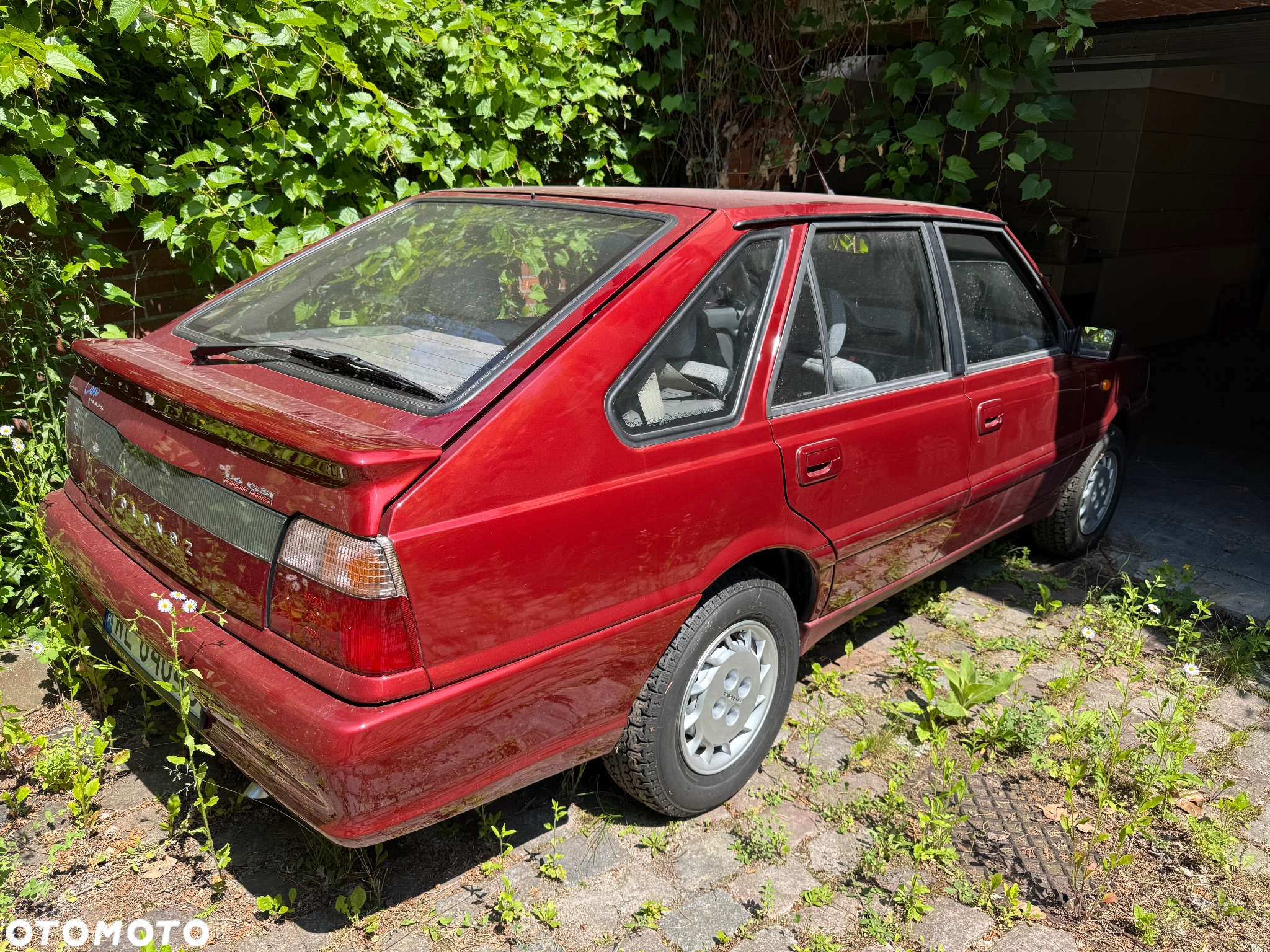 Polonez Caro - 12