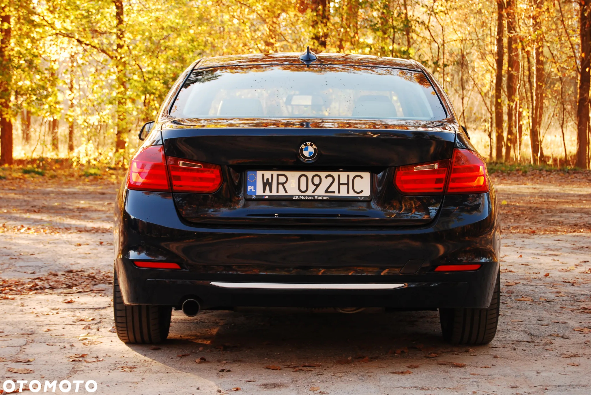 BMW Seria 3 320i Modern Line - 7