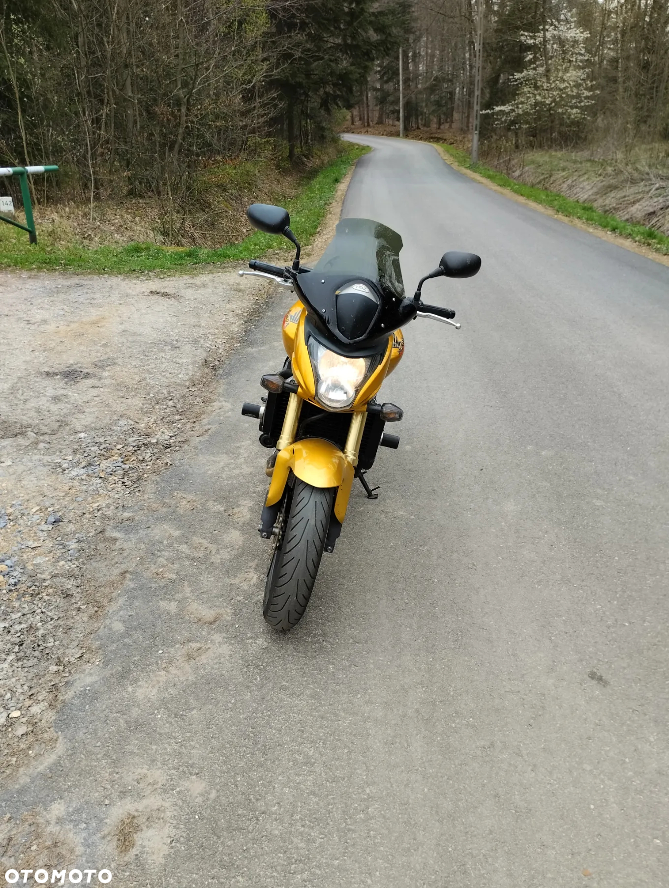 Honda Hornet - 3