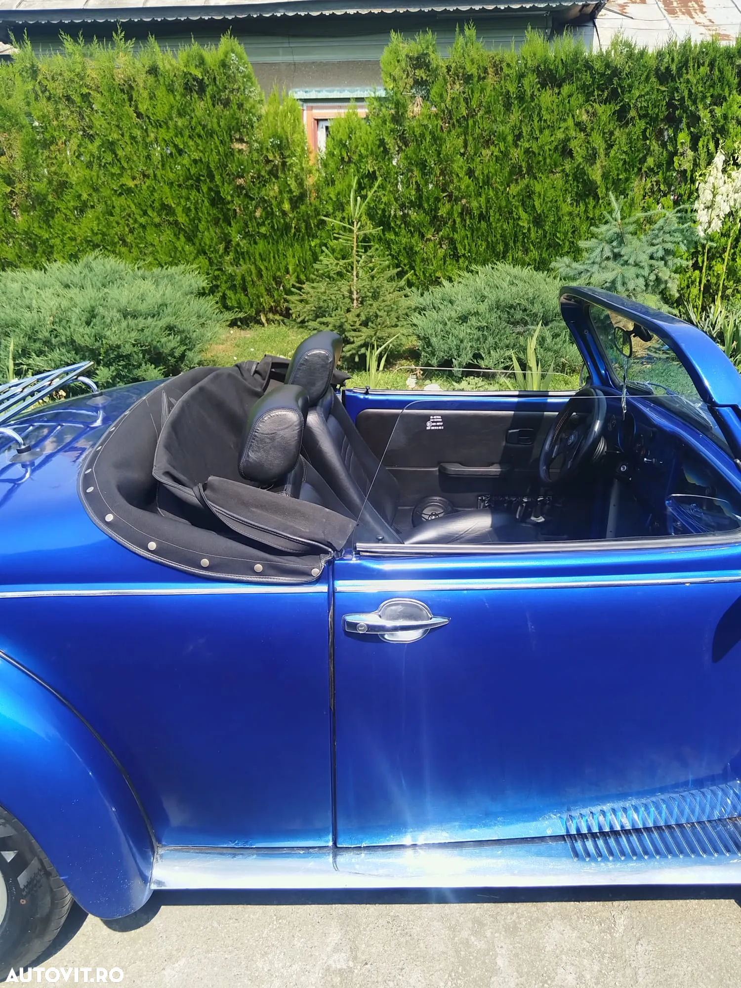 Volkswagen Beetle - 13
