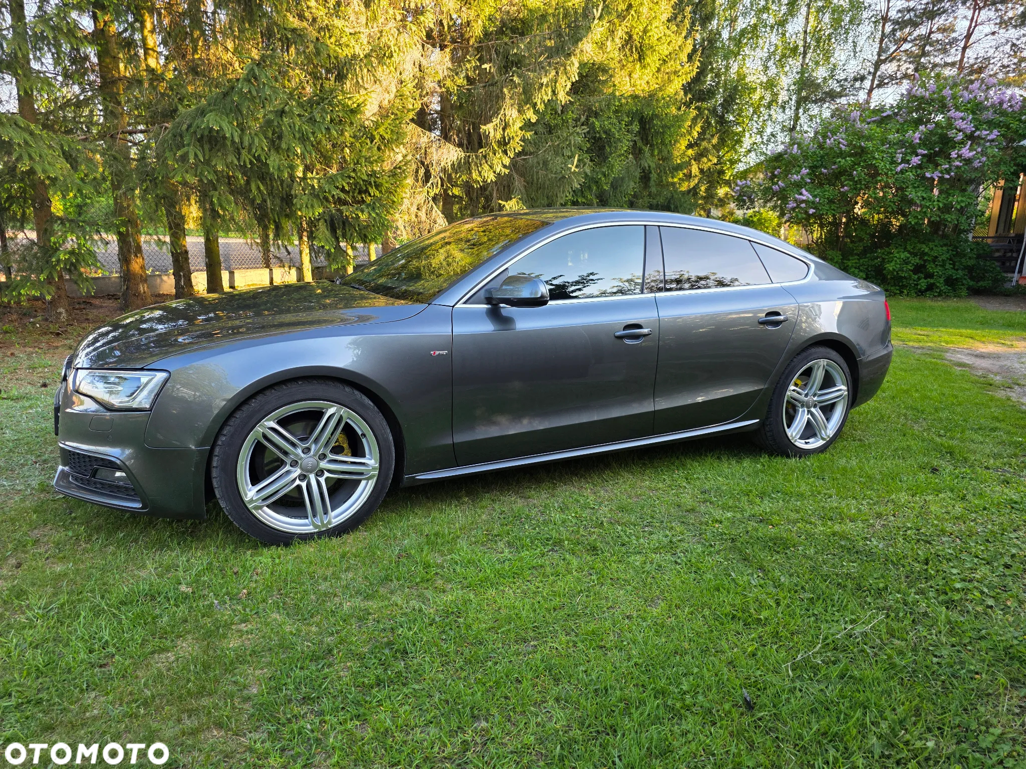 Audi A5 2.0 TDI Multitronic - 4