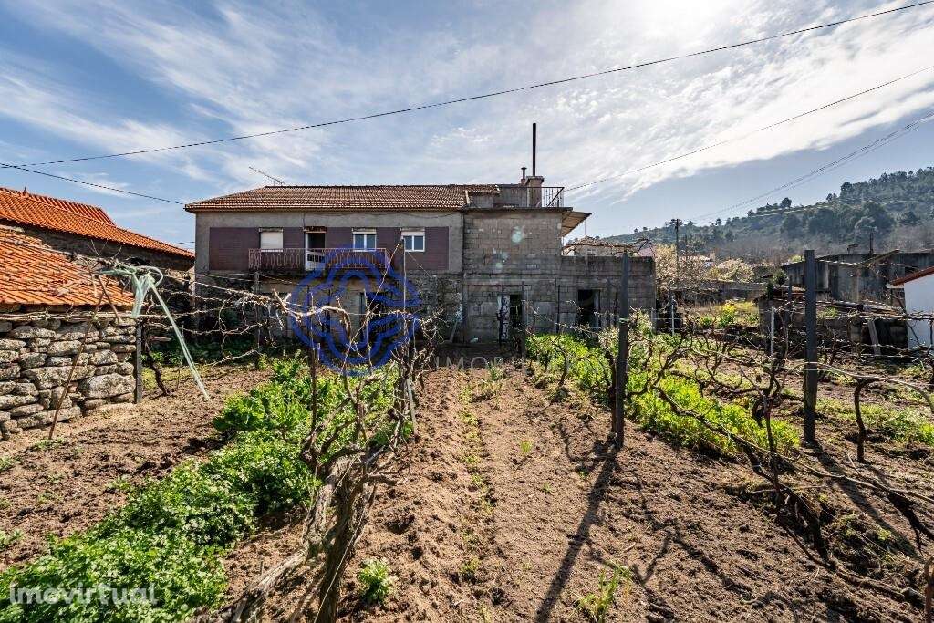 Terreno Rústico em Coura, Armamar - Grande imagem: 3/10