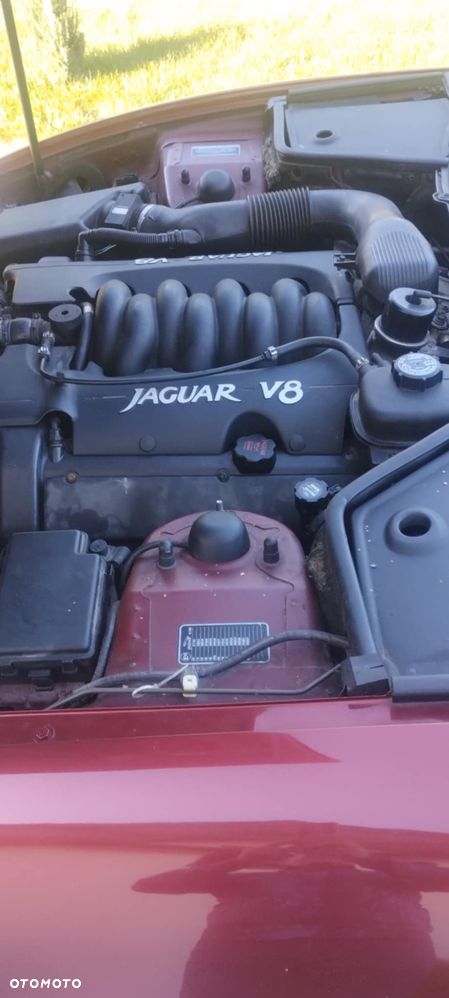 Jaguar XK - 6