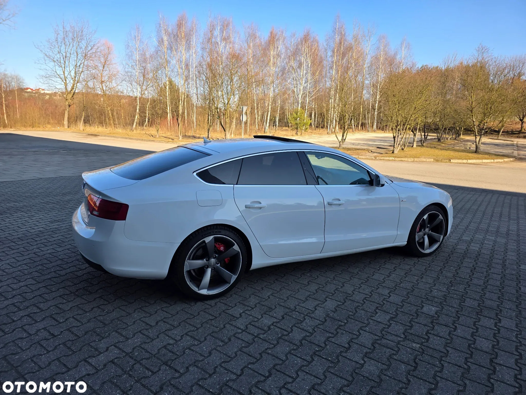Audi A5 2.0 TDI Sportback quattro DPF S tronic - 14