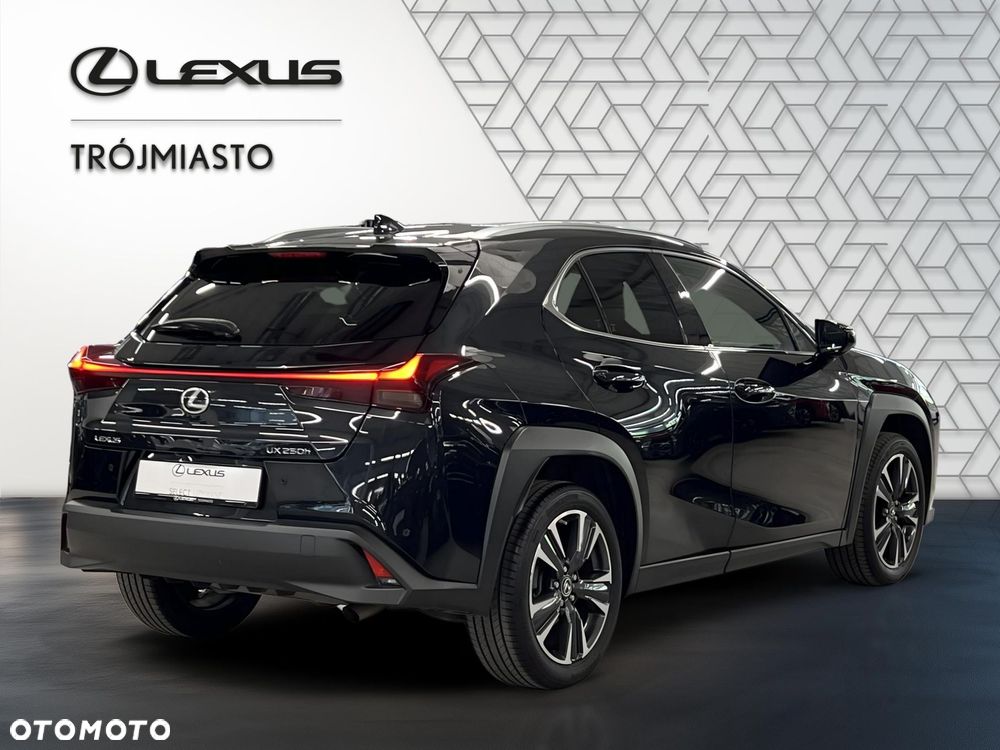 Lexus UX 250h GPF Business 2WD - 5