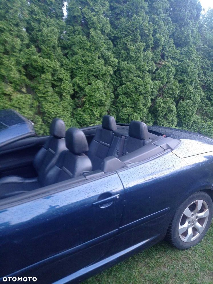 Peugeot 307 CC - 4