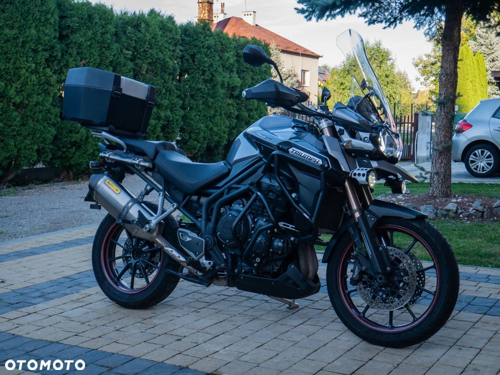 Triumph Tiger - 1