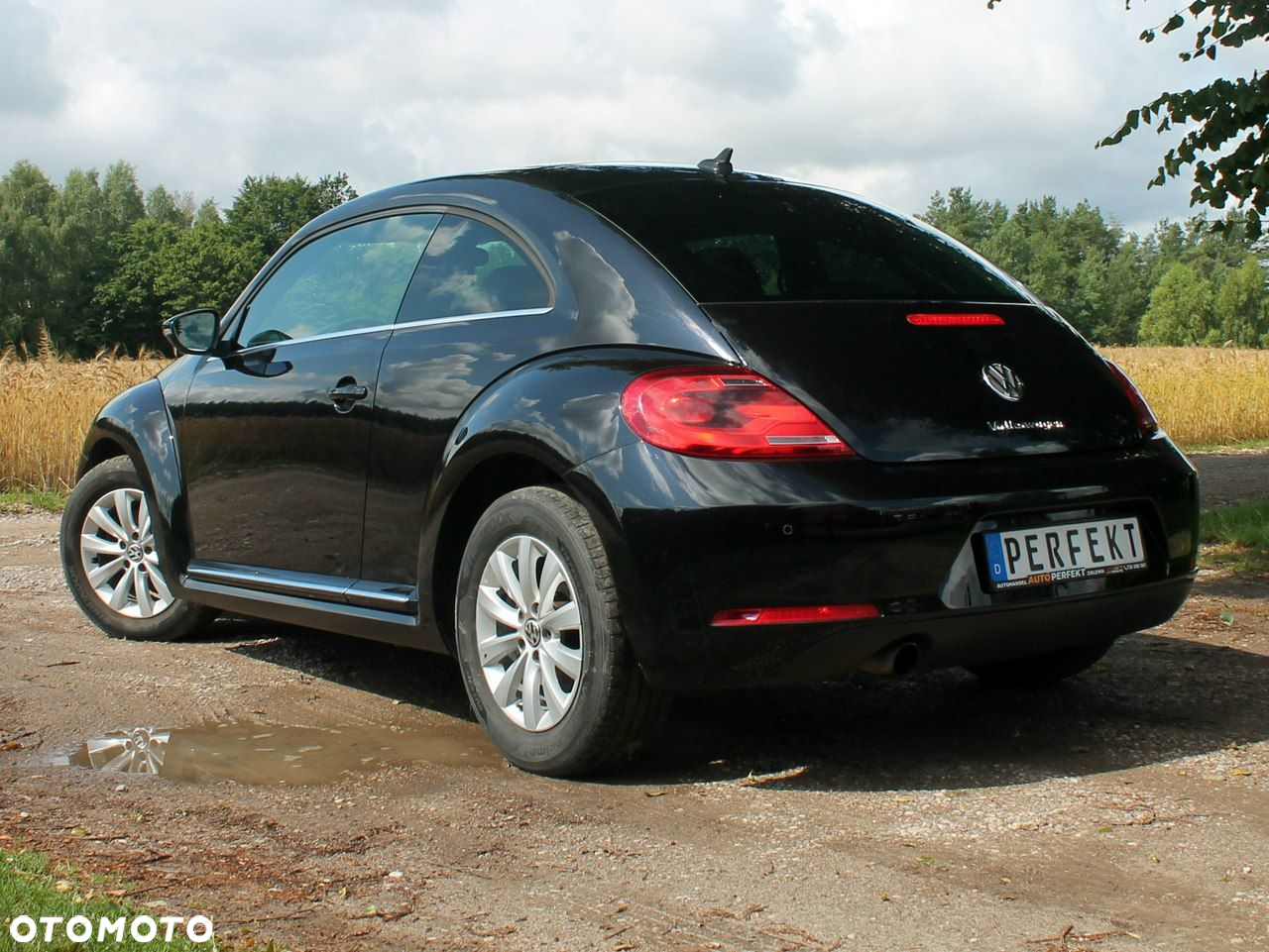 Volkswagen Beetle - 5