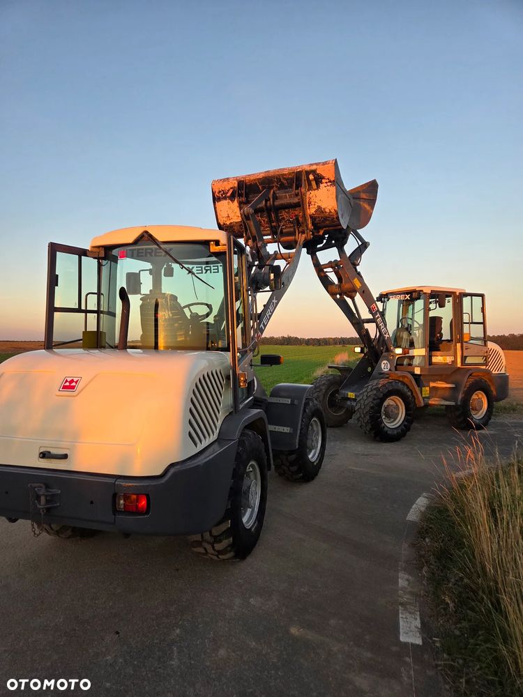 Terex TL80 TL65 TL100 - 17