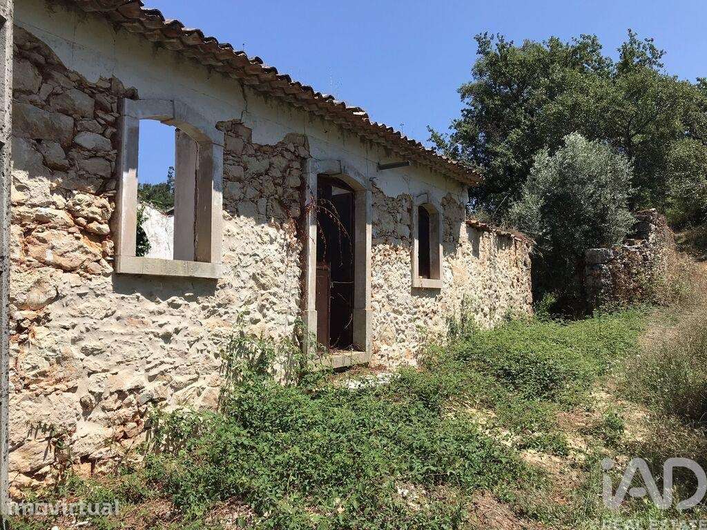 Quinta T6 em Chãos de 650,00 m2 - Grande imagem: 3/30