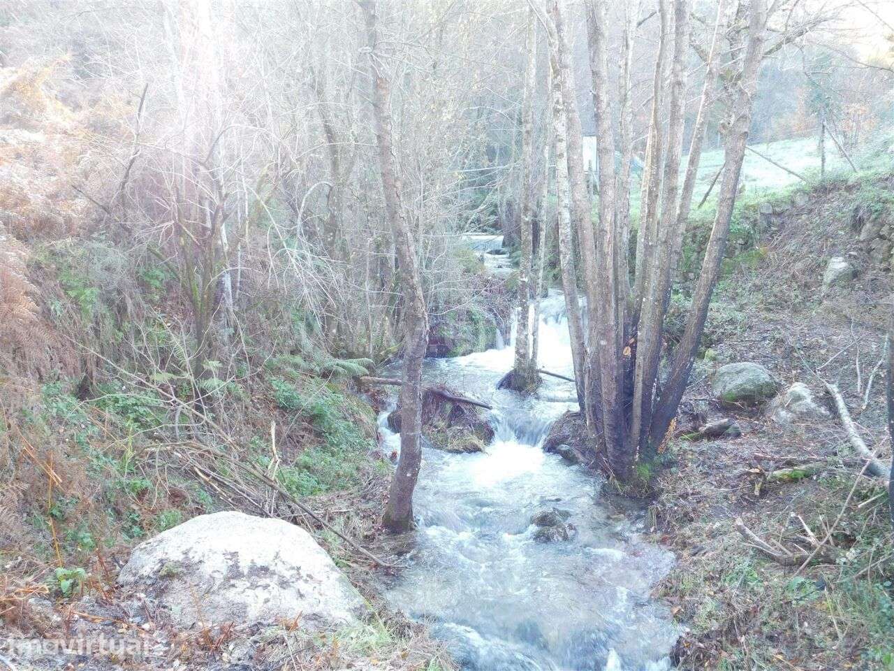 Quinta / Seia, Seia - Grande imagem: 2/8