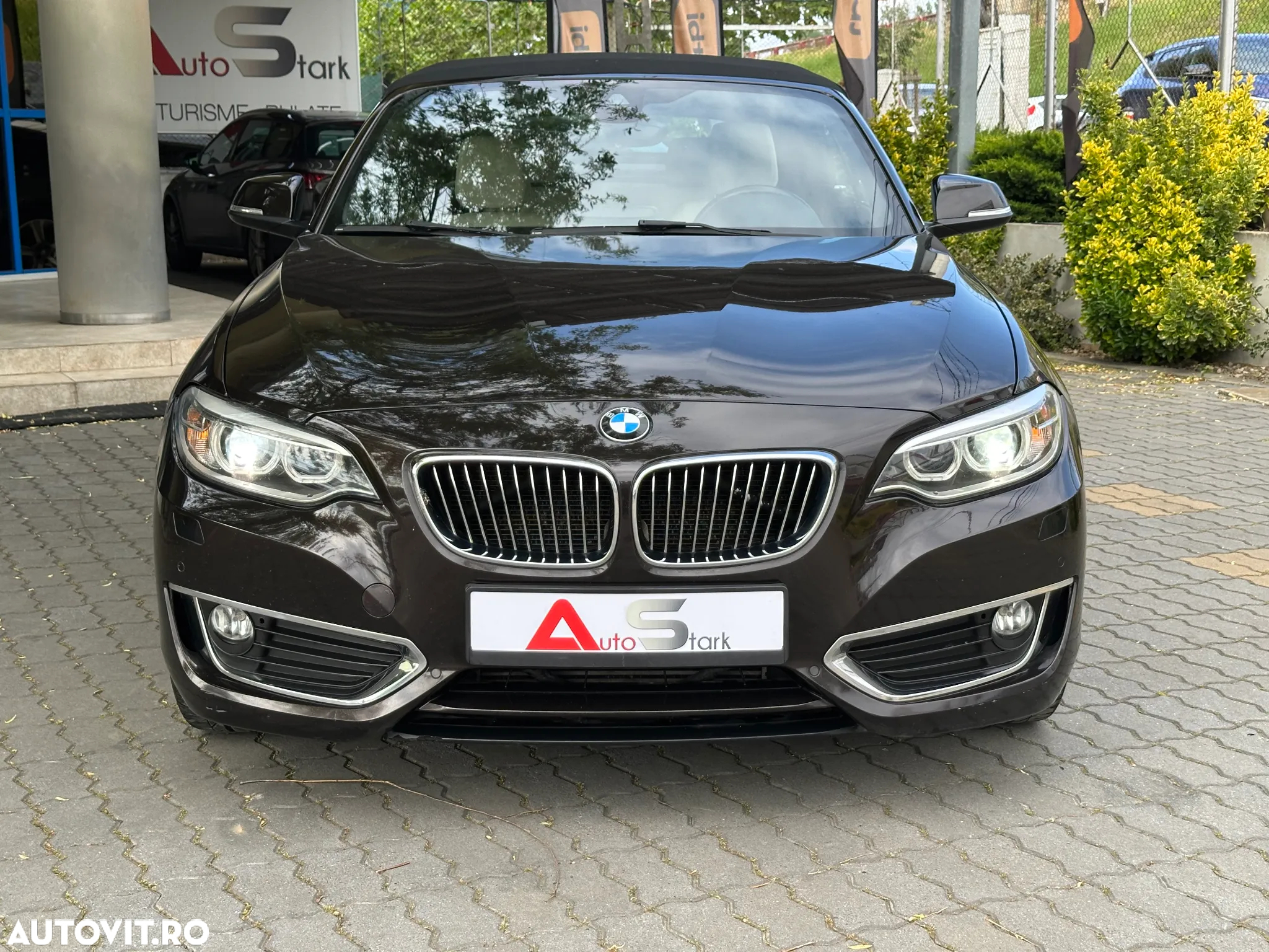 BMW Seria 2 220d Cabrio Aut. Luxury Line - 12