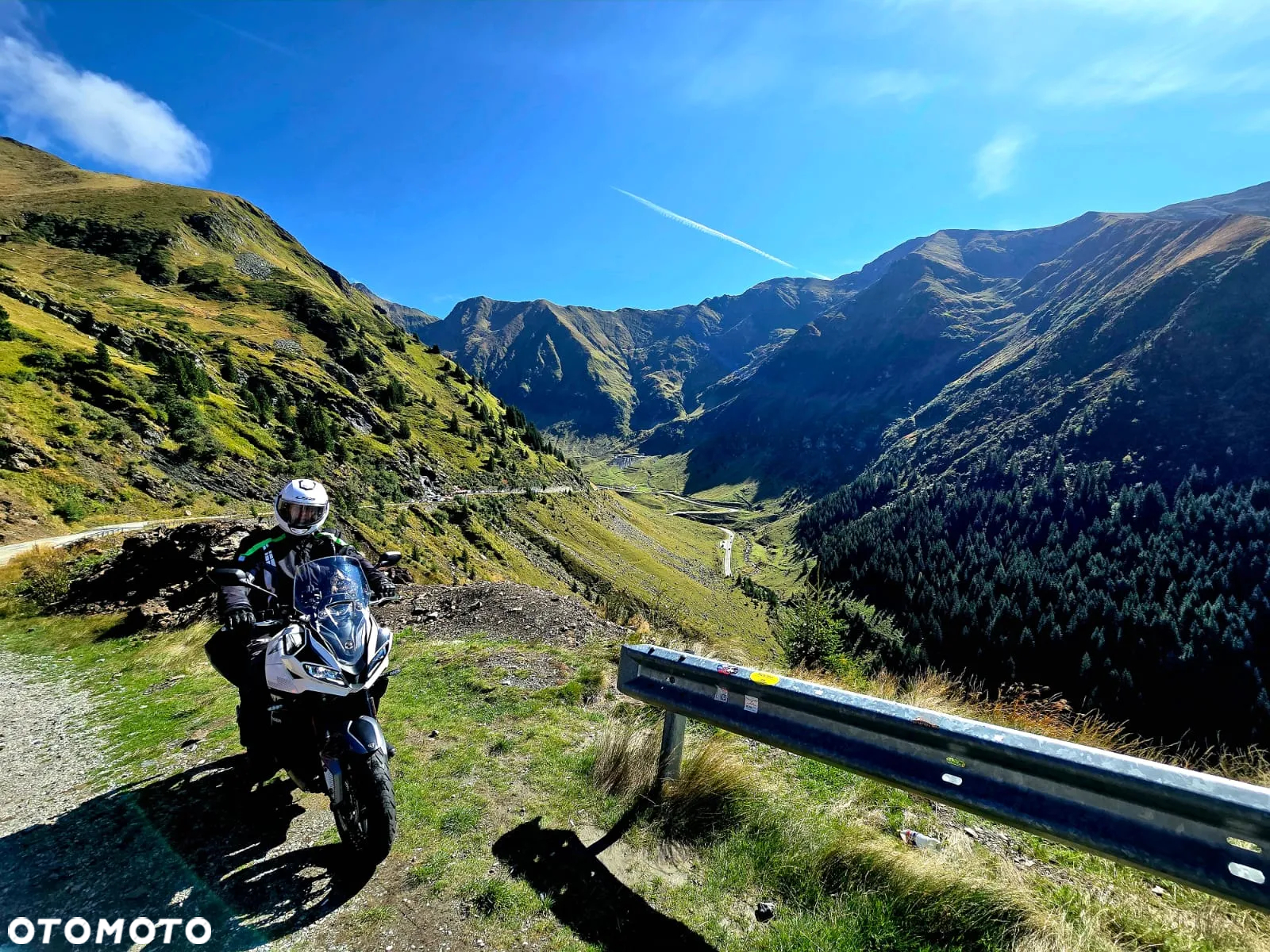 Triumph Tiger - 12