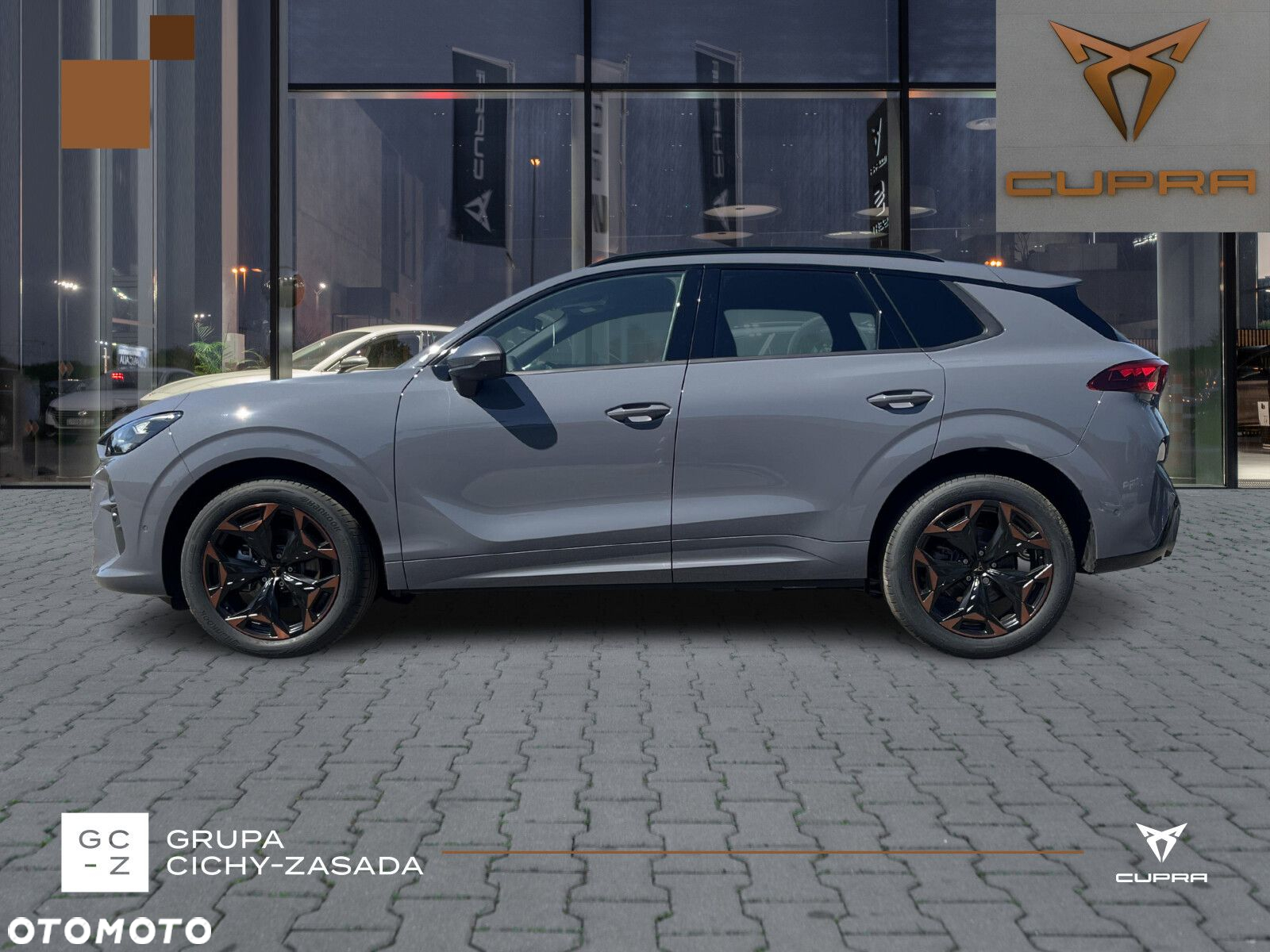 Cupra Terramar - 2