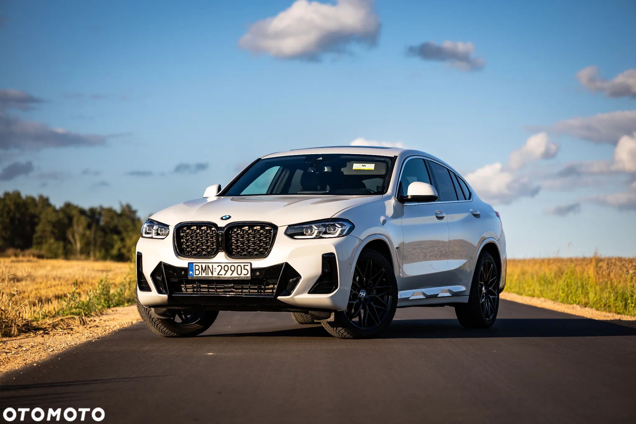 BMW X4 xDrive30i M Sport X - 6