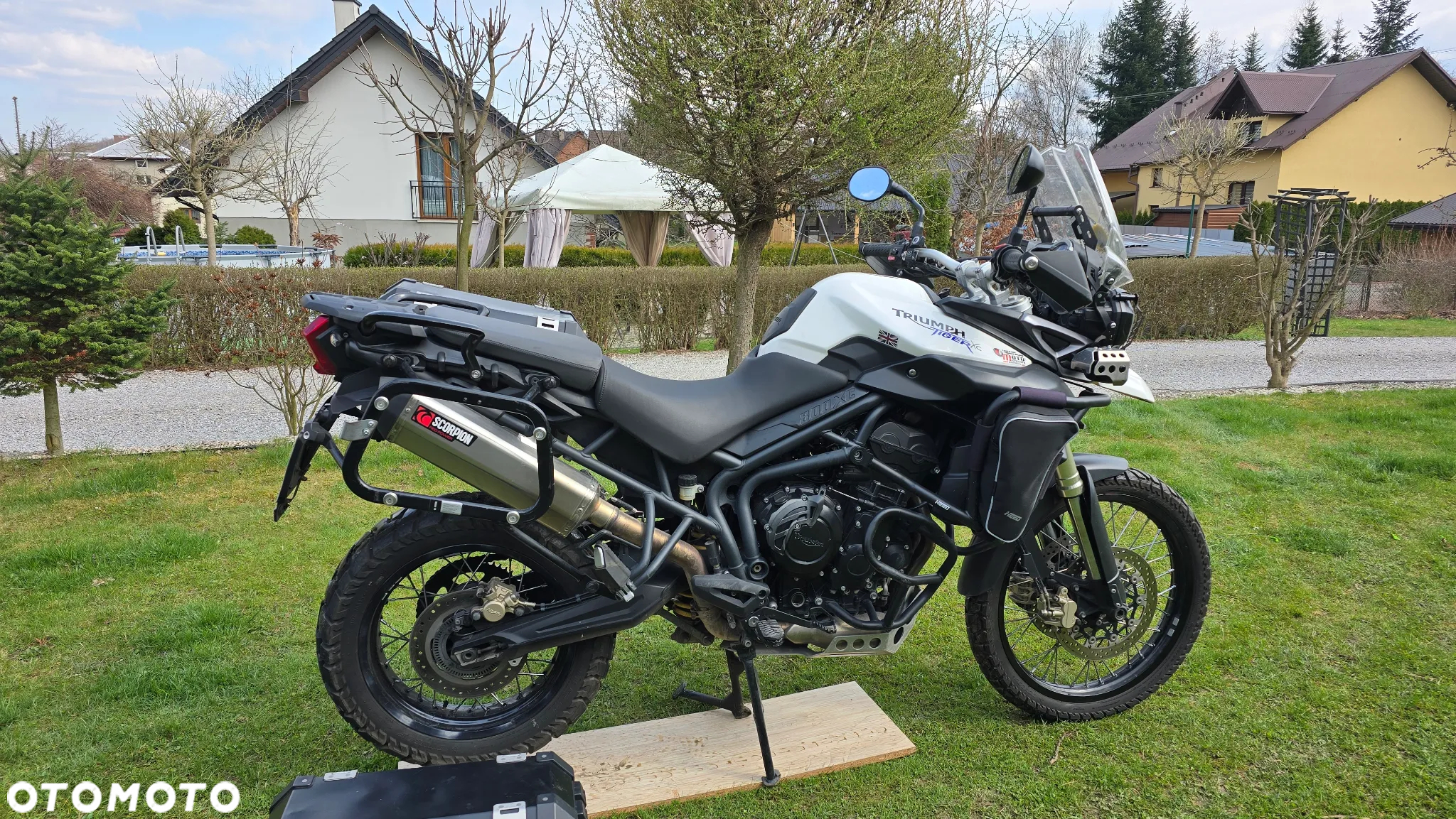 Triumph Tiger