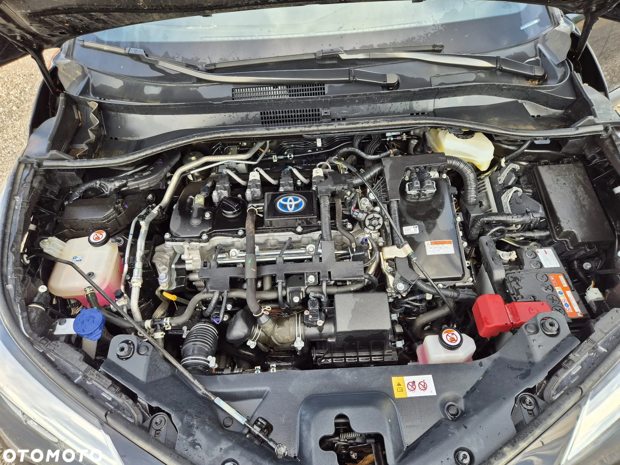 Toyota C-HR 1.8 Hybrid Business Edition - 22