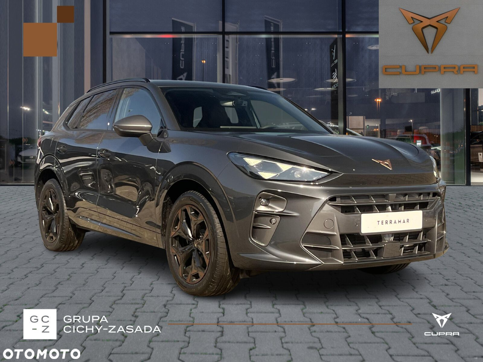 Cupra Terramar - 7