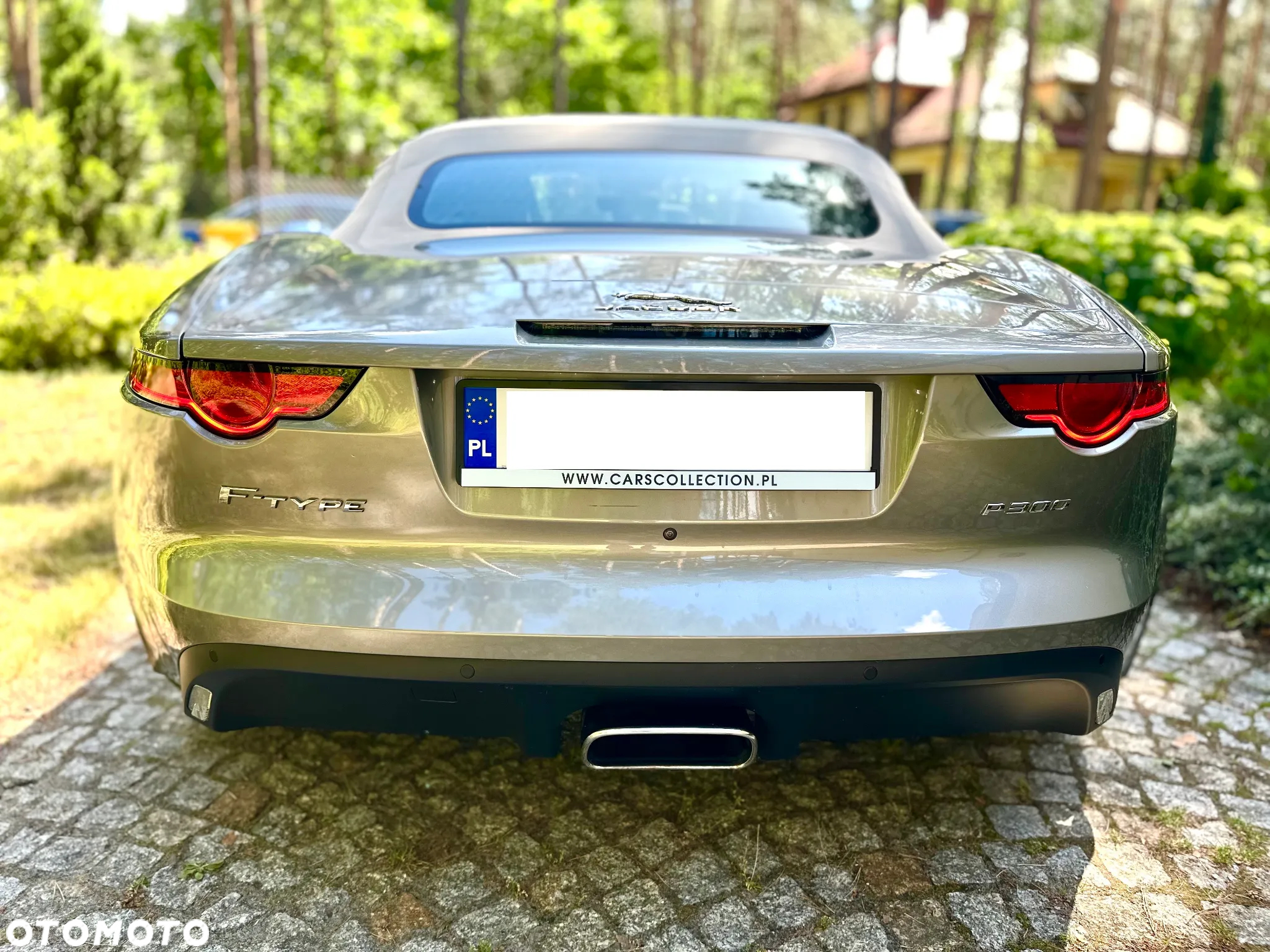 Jaguar F-Type 2.0 Turbo Chequered Flag - 13