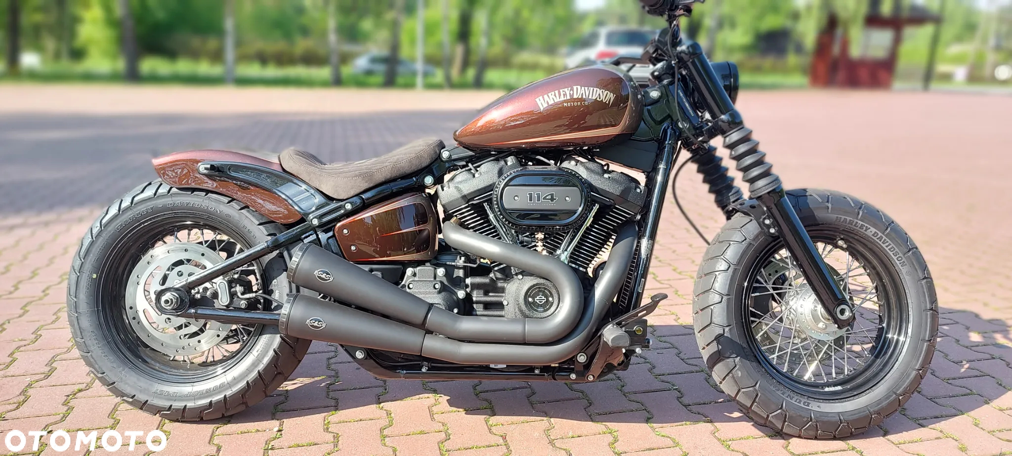 Harley-Davidson Softail Street Bob - 5