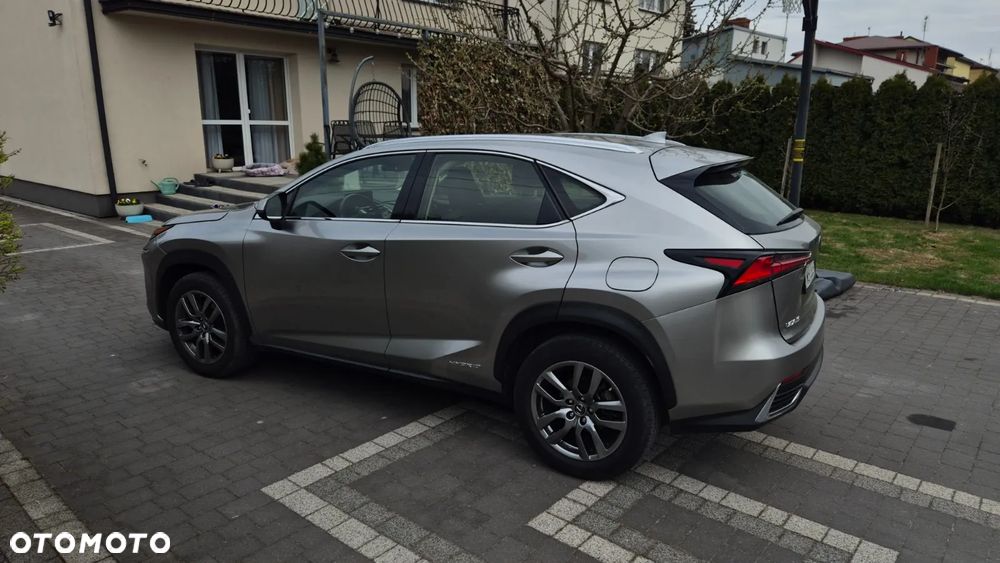 Lexus NX 300 Business Edition AWD - 2
