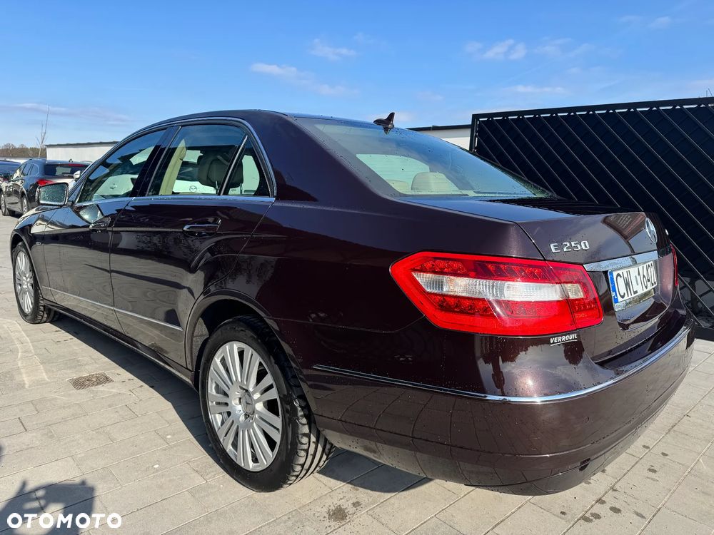 Mercedes-Benz Klasa E 250 CDI 7G-TRONIC Elegance - 6