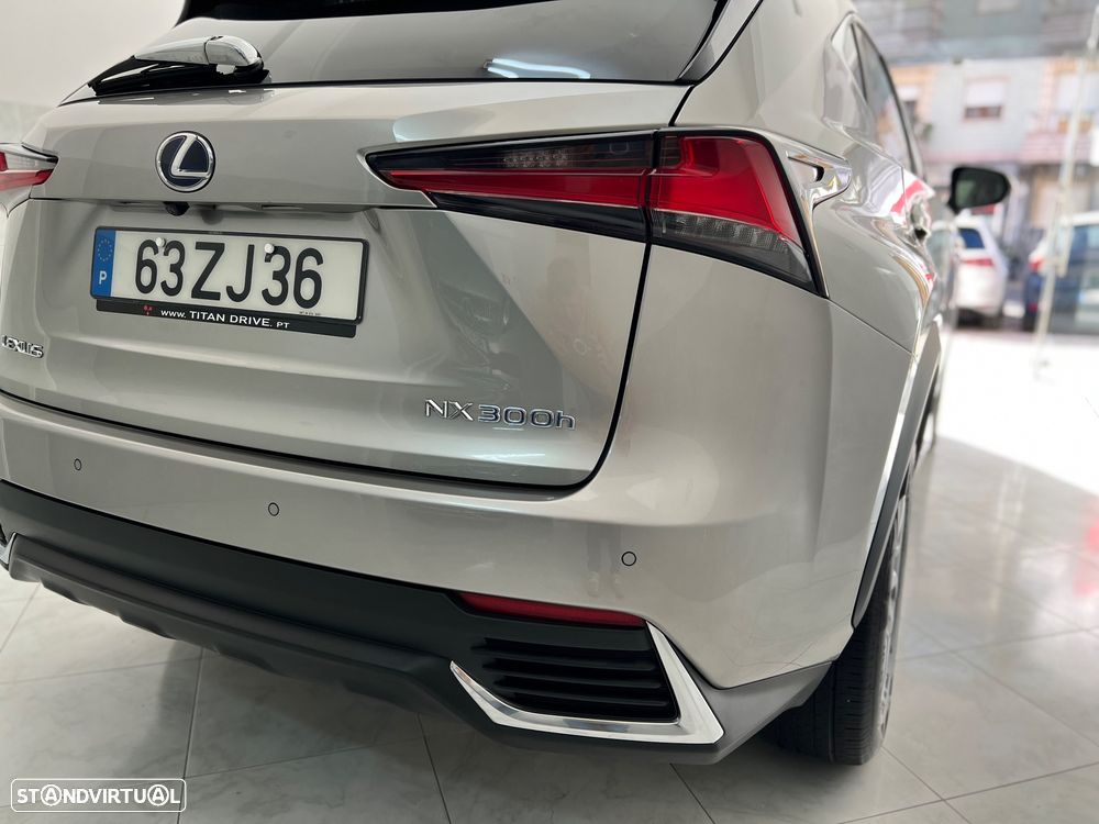 Lexus NX 300h Business - 6