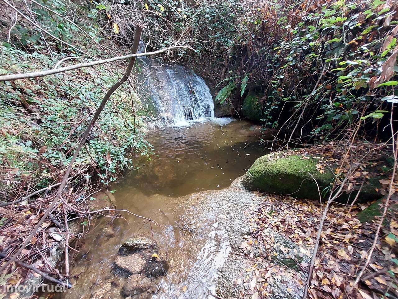 Quintinha com casa habitação - Grande imagem: 5/19