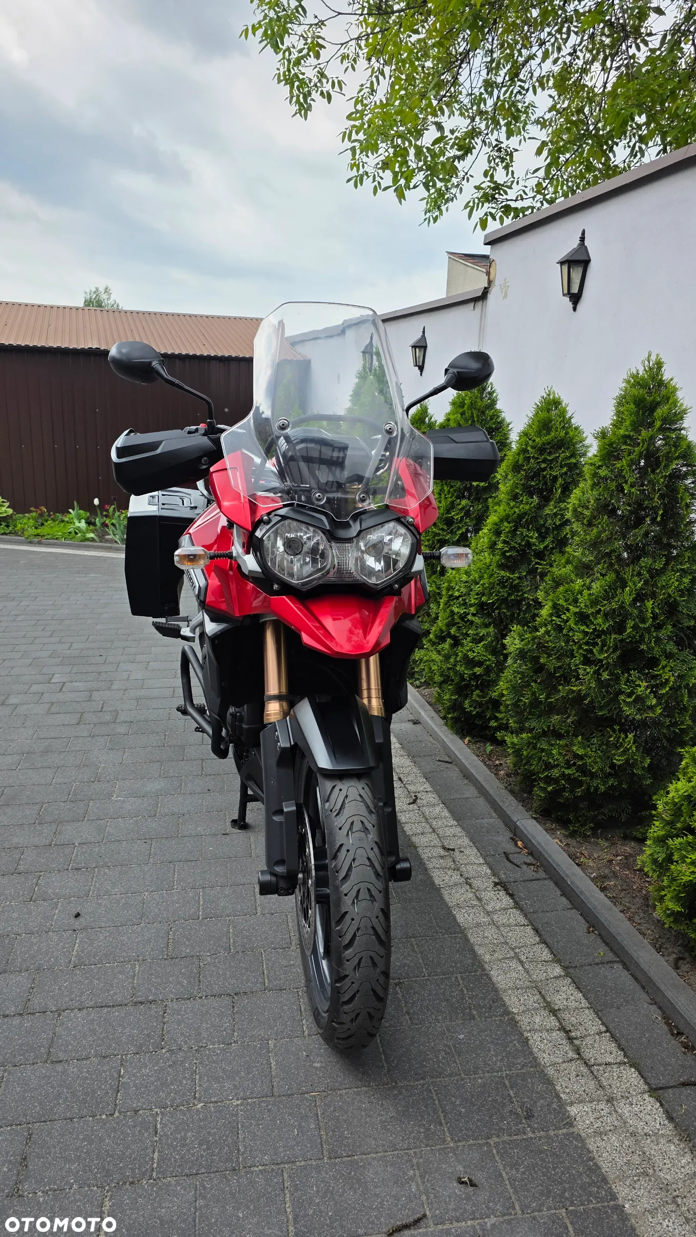 Triumph Tiger - 15