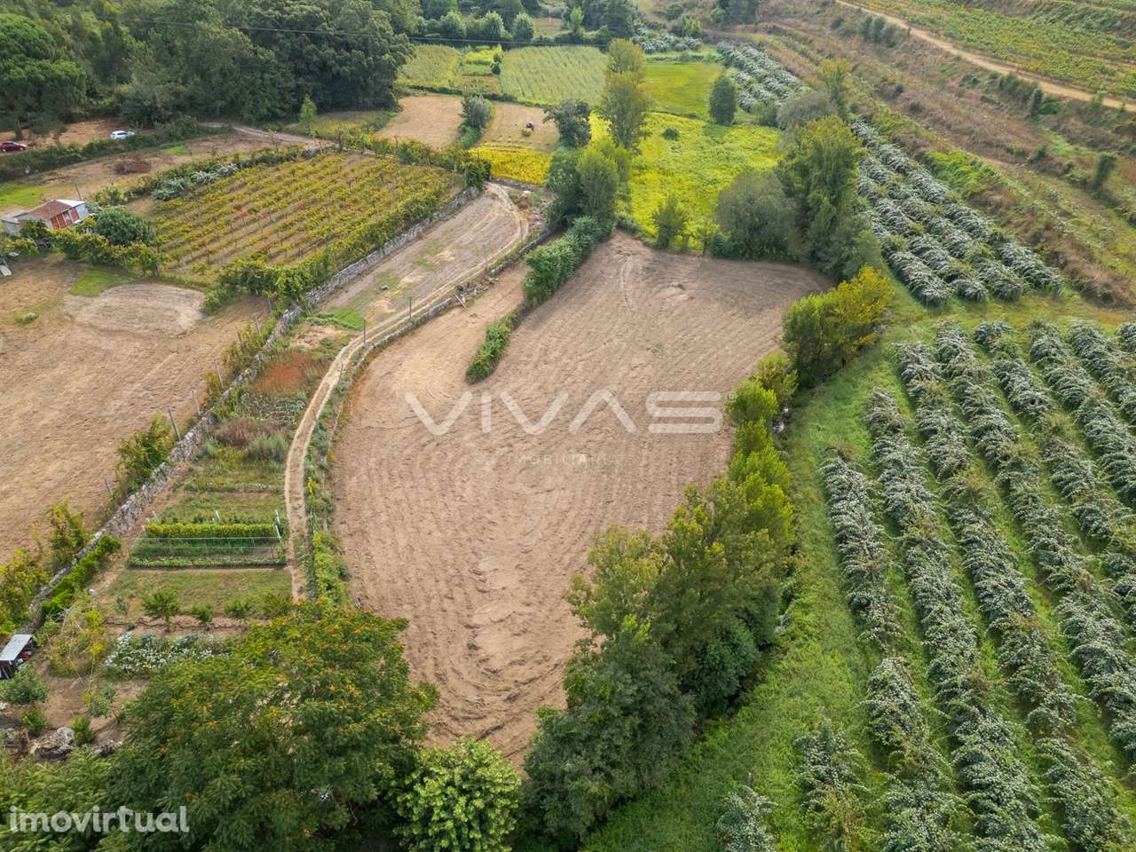 Terreno Rústico  Venda em Monsul,Póvoa de Lanhoso - Grande imagem: 2/15