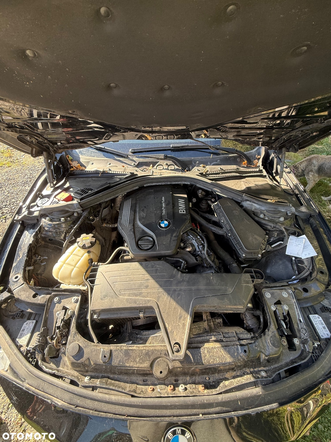 BMW Seria 3 318d Advantage - 5