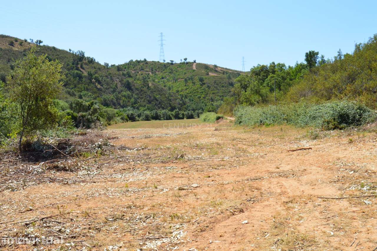 Terrenos Saboia - Odemira - Alentejo - Grande imagem: 2/8