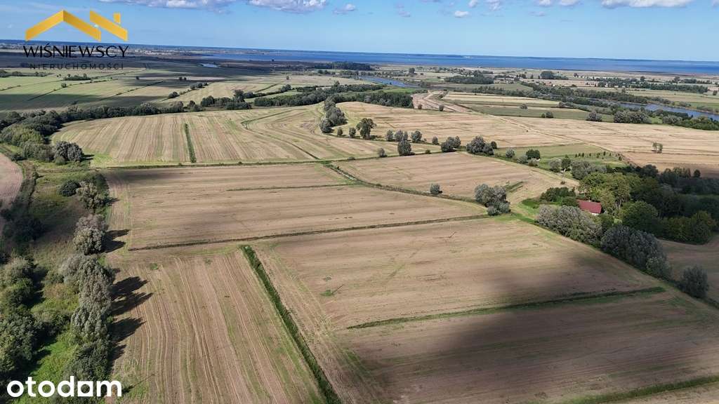 Grunty rolne 43,53 ha – okolice Zalewu Wiślanego - Pełny obrazek: 4/5