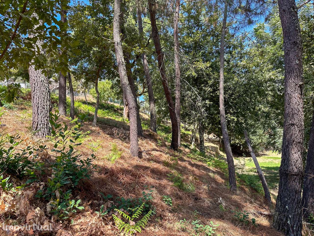 Terreno  Venda em Lufrei,Amarante - Grande imagem: 4/12