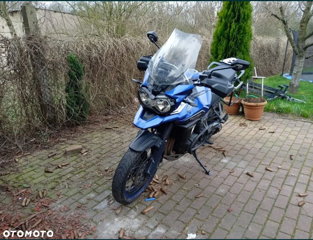 Triumph Tiger - 4