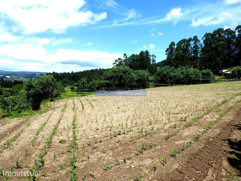 Terreno rústico de 4.900m2 e ruína, Rubiães, em Paredes de Coura. P... - Grande imagem: 2/4
