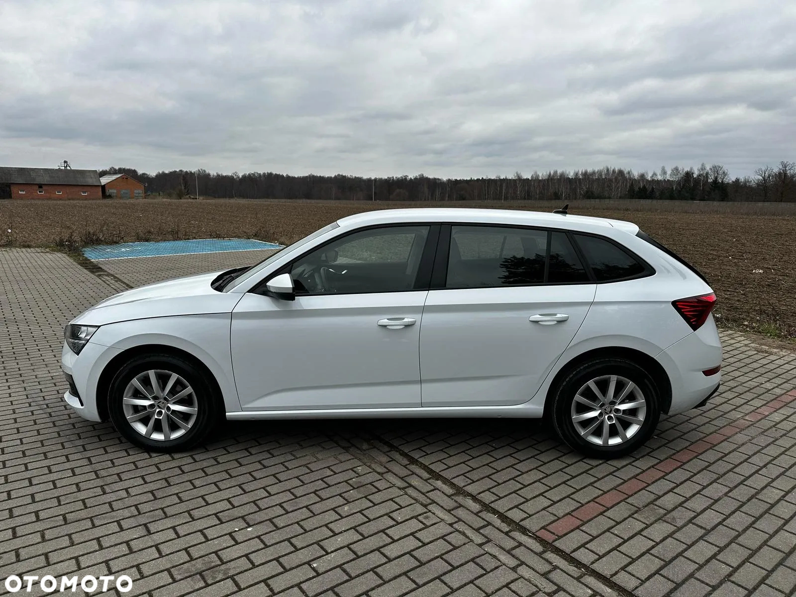 Skoda Scala 1.0 TSI Ambition DSG - 3