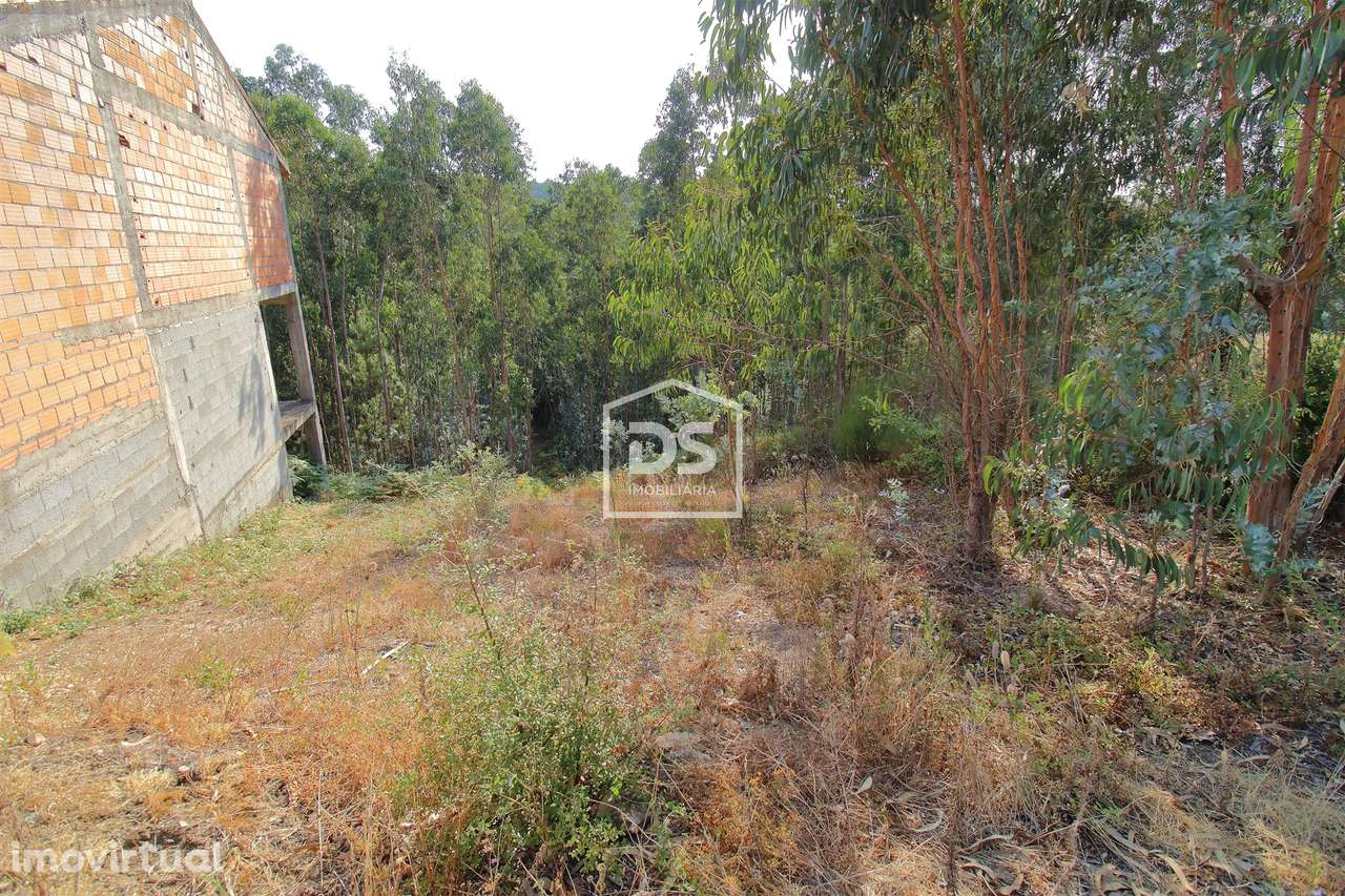 Terreno  Venda em Lagares e Figueira,Penafiel - Grande imagem: 5/11