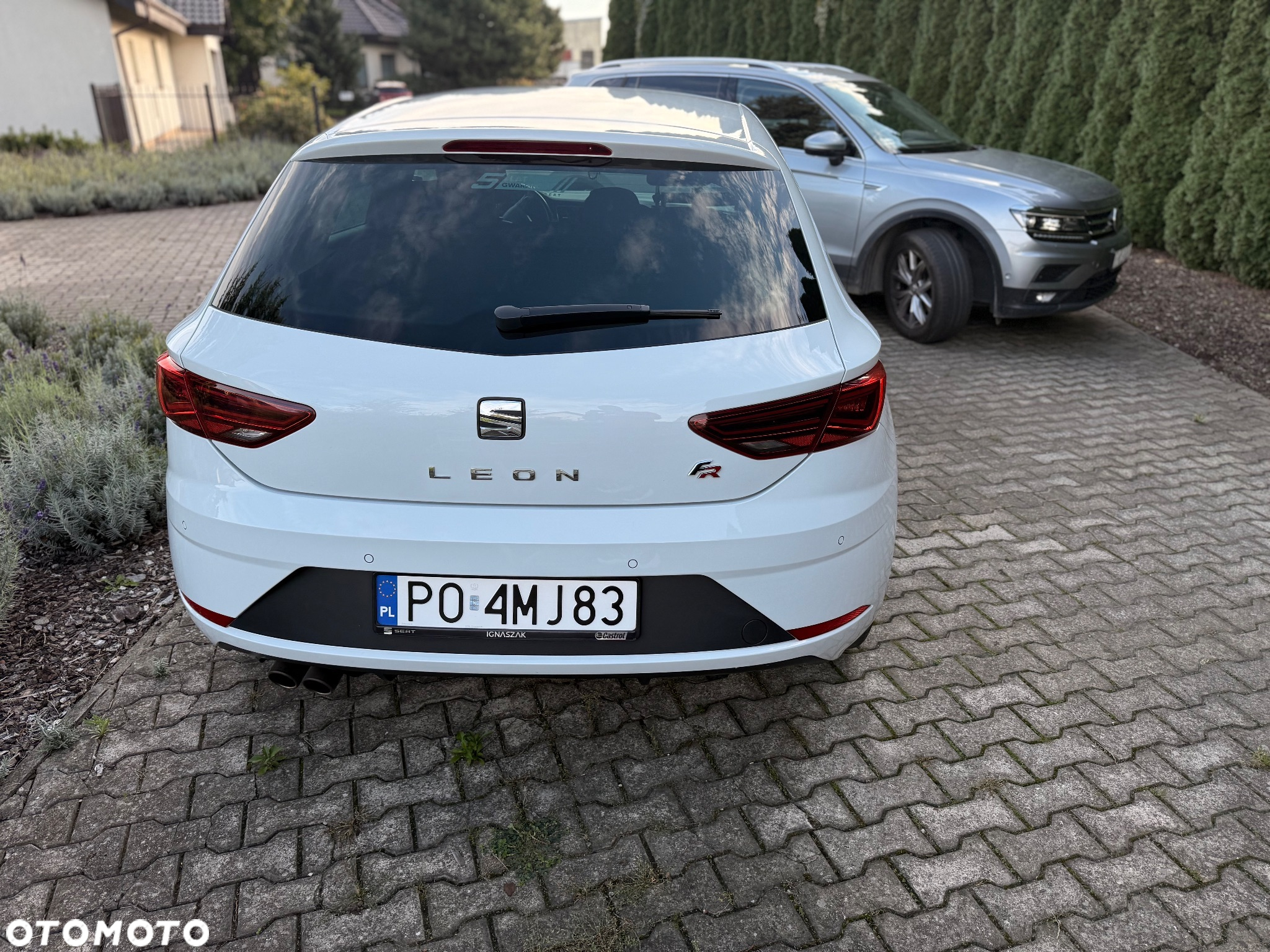 Seat Leon 1.5 EcoTSI Evo FR S&S DSG - 5