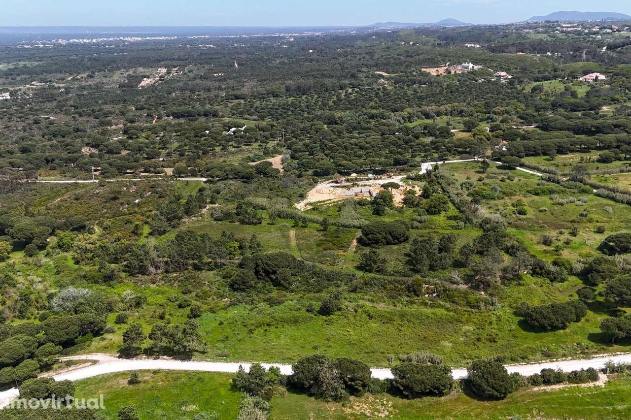 Terreno Rústico com Vista Mar e Viabilidade Construtiva em Azóia, Sesi - Grande imagem: 3/13